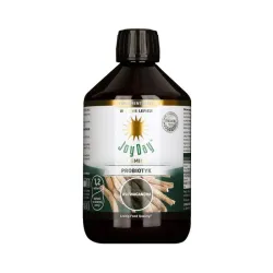 Joy Day Ashwagandha 500ml eko probiotyk Lactobacillus rhamnosus GG