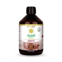 Joy Day kurkuma imbir pieprz 500ml eko probiotyk  Lactobacillus rhamnosus GG