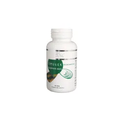 Omułek zielonowargowy 60 kaps. Farm-Vix Perna Canaliculis