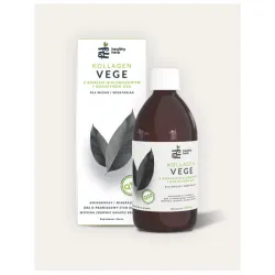 Kolagen Vege 500ml z kwasem hialuronowym i koenzymem Q10 Healthy Herb MSM siarka organiczna cytrynian magnezu chlorek wapnia