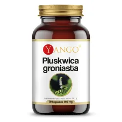 Pluskwica groniasta 90 kaps. Yango  Ekstrakt z korzenia pluskwicy groniastej Cimicifuga racemosa