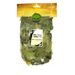 Miłorząb japoński 100g ginko biloba