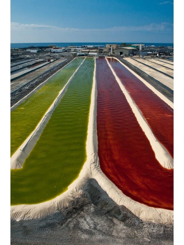 bioastin-gummies-astaksantyna-6-mg-60-zelkow-wegetarianskich (6).jpg