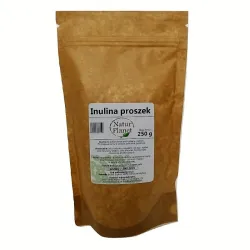 Inulina proszek 250 g prebiotyk cykoria Cichorium intybus