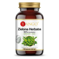 Zielona Herbata katechiny EGCG 95% polifenoli 90 kaps. Yango Ekstrakt z liści zielonej herbaty Camellia sinensis