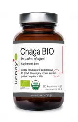 CHAGA BIO