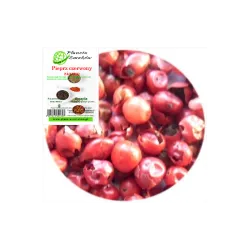 Pieprz czerwony ziarno 20g Planeta Smaków