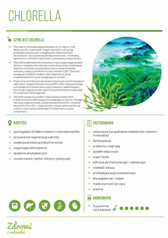 Chlorella.jpg