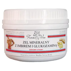 Żel Mineralny z Imbirem i Glukozaminą 350g