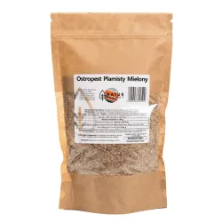 Ostropest plamisty mielony 250g Natur Planet Silybum Marianum (L.) Gaertn