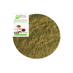 Rozmaryn mielony 40g Planeta Smaków