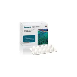 Adrenal Intercell 120 kapsułek