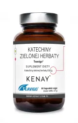 TEAVIGO katechiny zielonej herbaty (300mg)
