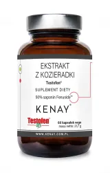 TESTOFEN® ekstrakt z kozieradki 600mg