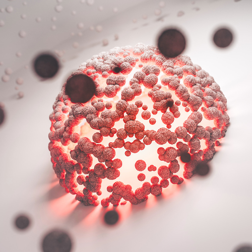 Odżywianie komórkowe Biotu.pl