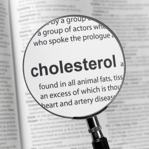 Cholesterol Biotu.pl