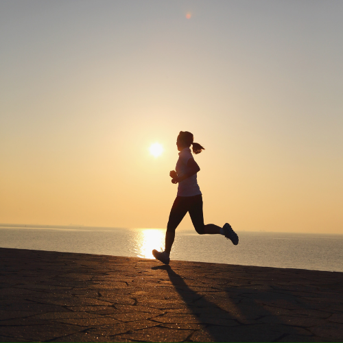 Układ kostno-stawowy Biotu.pl